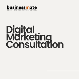 Business Marketing Consultation